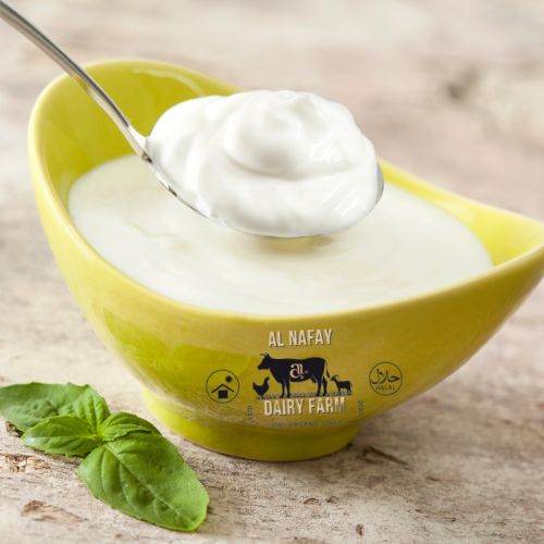 Pure Yogurt – Thick &  Creamy 🍶🥄 | Alnafay Dairy Farm
